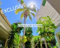 Furnished apartment in the heart of Playa Las Américas featuring a balcony, elevator, tennis courts, and a swimming pool!